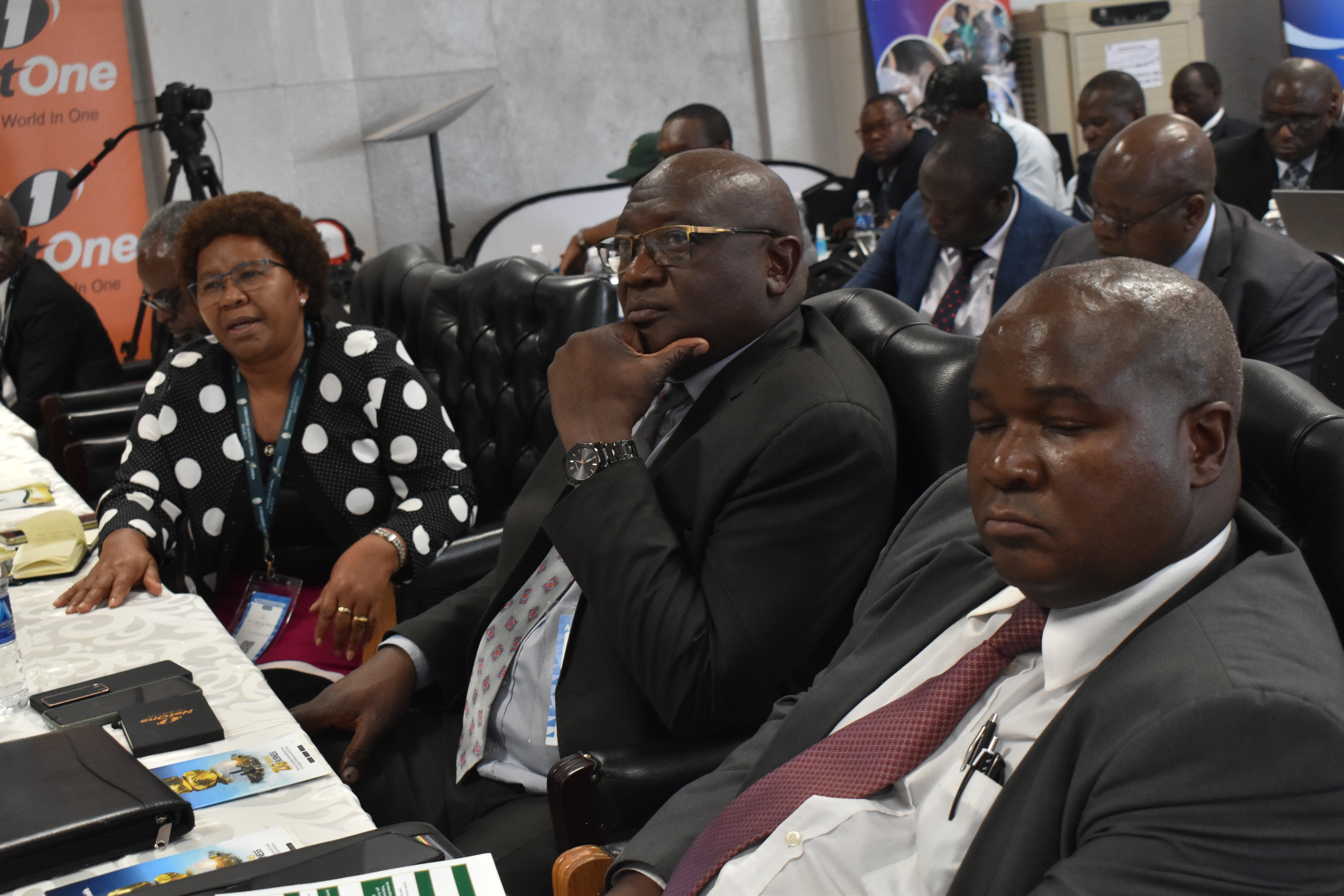 2nd Research for Agricultural Excellence and Technology Indaba (4)